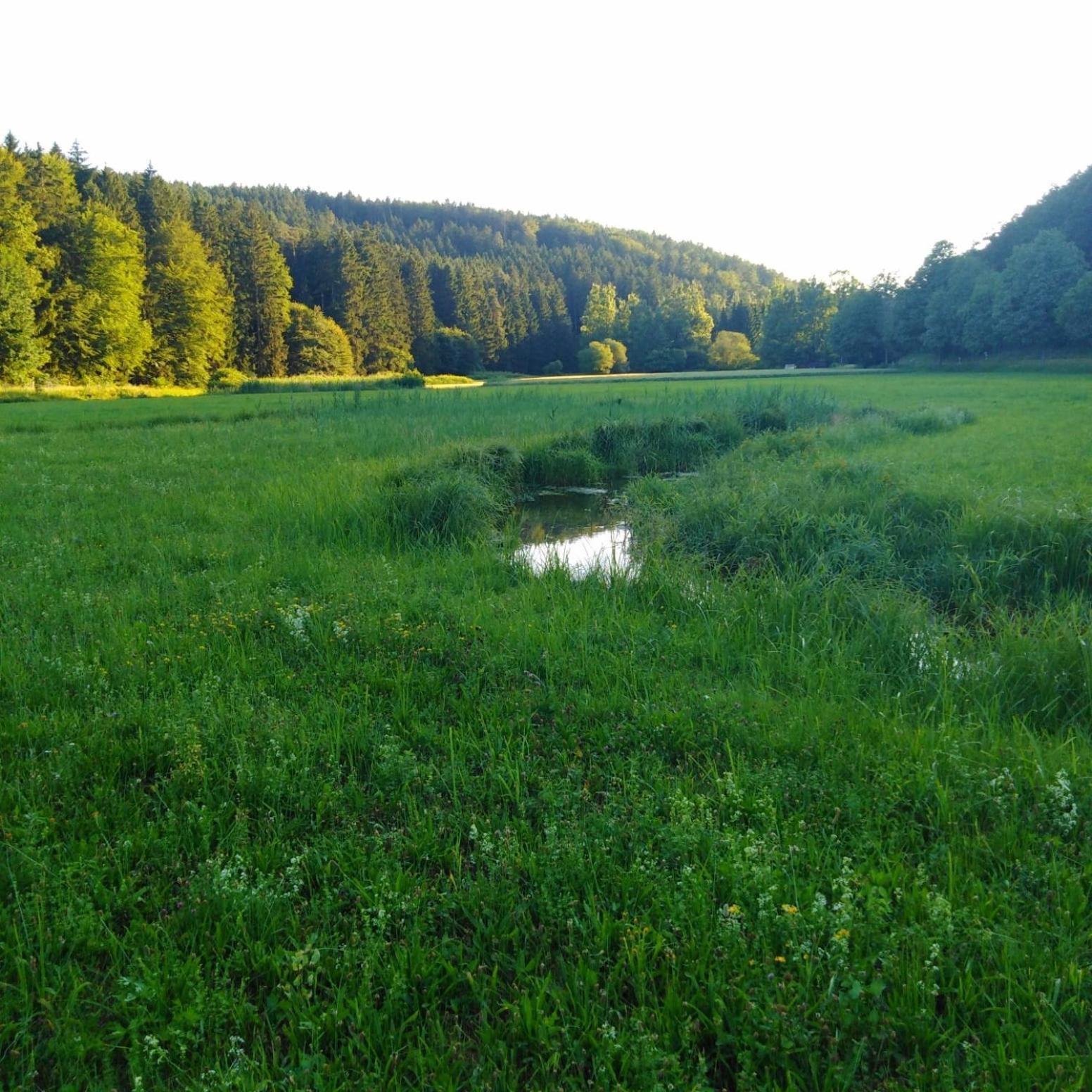 Deuerling Ferienhaus Am Bach Mit Grossem Garten מראה חיצוני תמונה